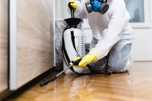 Pest Prevention Services in Saylorville, IA