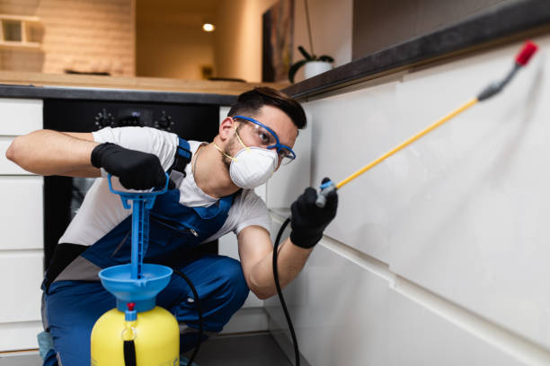 Best Pest Control for Businesses  in Saylorville, IA