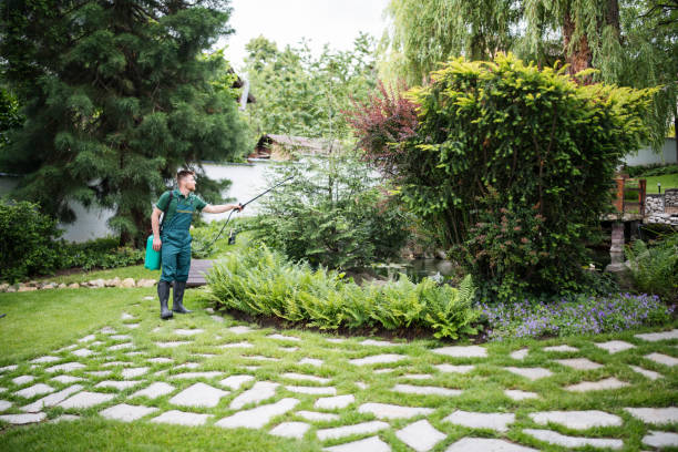 Best Pest Prevention Services  in Saylorville, IA