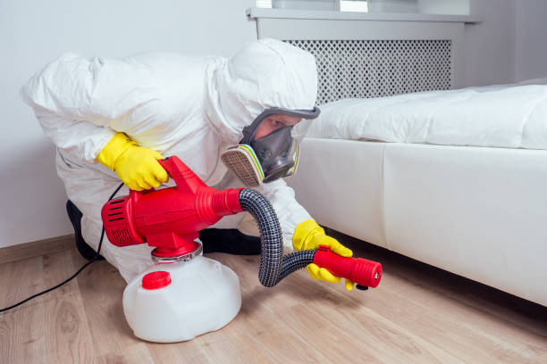 Flea Control Services in Saylorville, IA