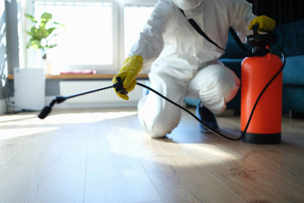 Best Flea Control Services  in Saylorville, IA