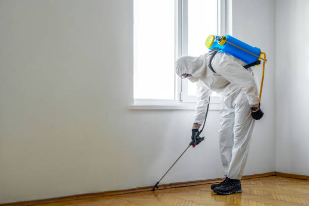 Professional Pest Control in Saylorville, IA