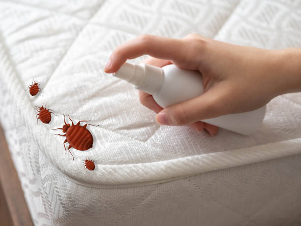 Best Best Pest Control Companies  in Saylorville, IA