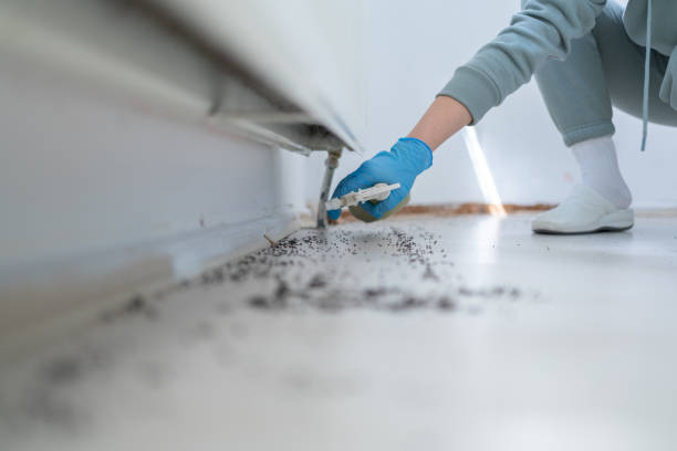 Pest Control Cost in Saylorville, IA