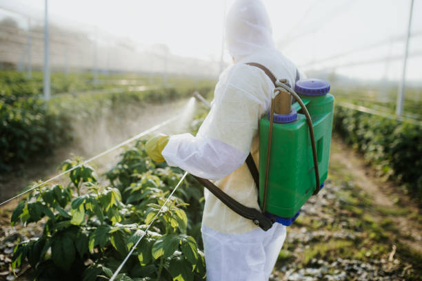 Best Best Pest Control Companies  in Saylorville, IA